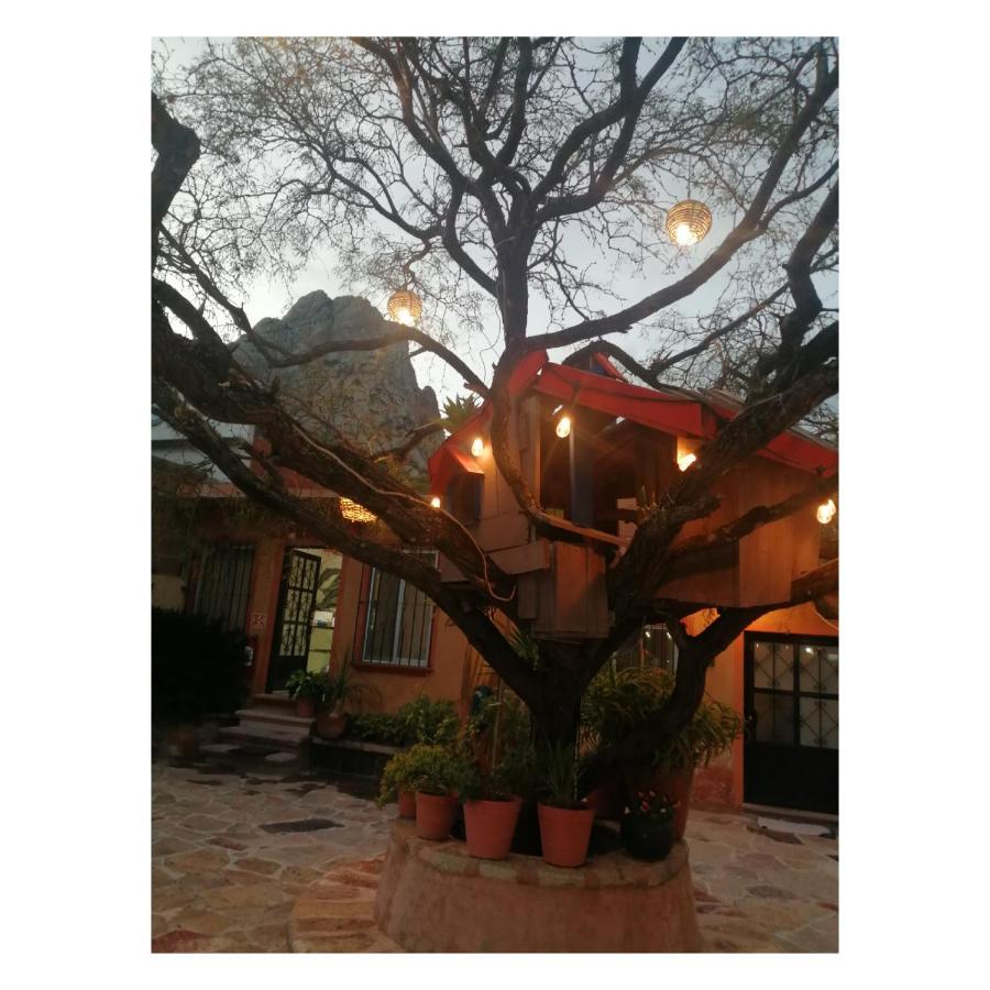 Hotel Casa Del Arbol Bernal Exteriér fotografie