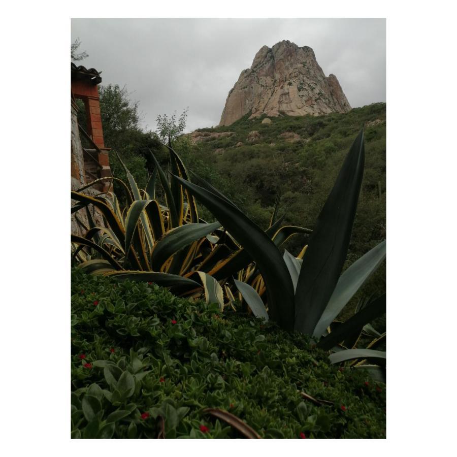 Hotel Casa Del Arbol Bernal Exteriér fotografie