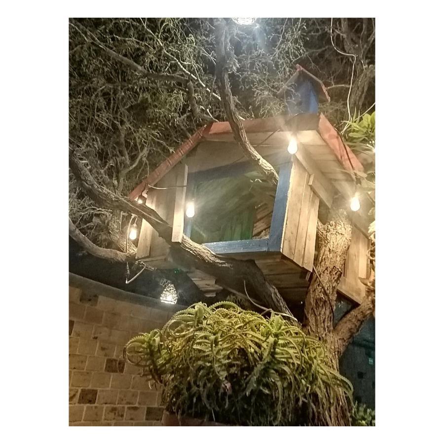 Hotel Casa Del Arbol Bernal Exteriér fotografie