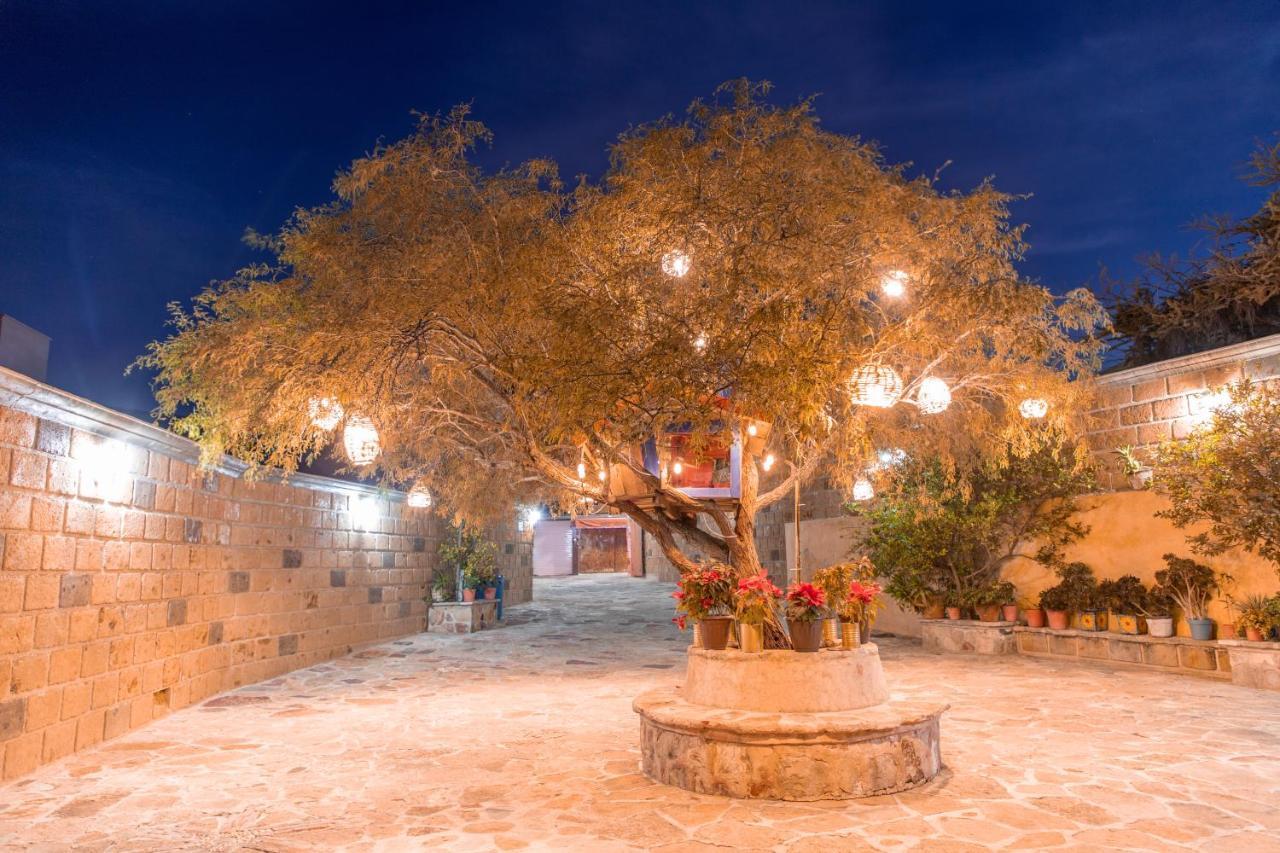 Hotel Casa Del Arbol Bernal Exteriér fotografie