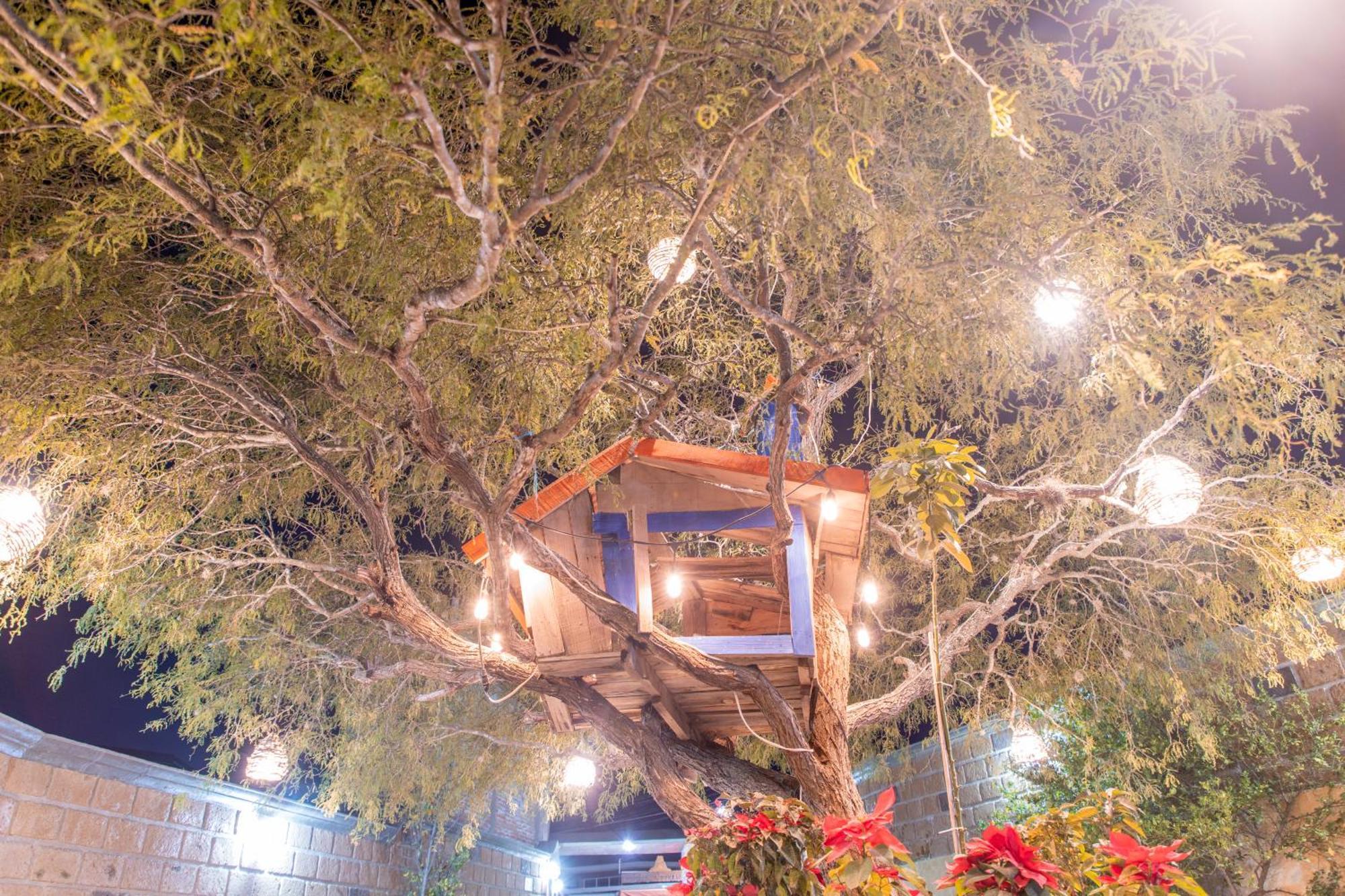 Hotel Casa Del Arbol Bernal Exteriér fotografie